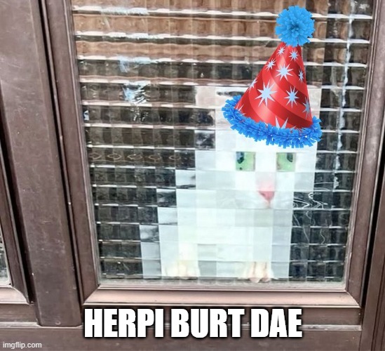 Herpi burt dae | HERPI BURT DAE | image tagged in derp,cat,birthday,pixel | made w/ Imgflip meme maker