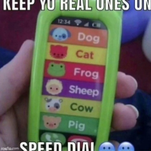 Animals | image tagged in animals,animal,repost,reposts,memes,speed dial | made w/ Imgflip meme maker