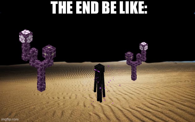 end update is needed | THE END BE LIKE: | image tagged in desert,minecraft,memes,funny,end update,boring | made w/ Imgflip meme maker