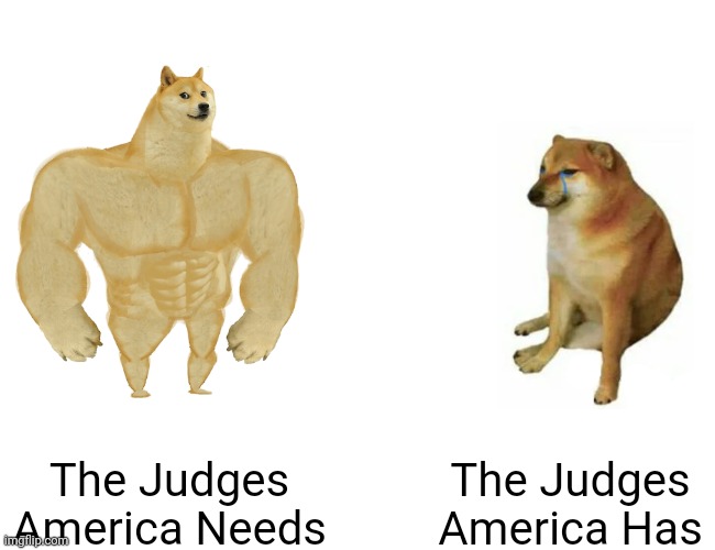 On Judges in America | The Judges
America Needs; The Judges
America Has | image tagged in memes,buff doge vs cheems,judges,america,crime,justice | made w/ Imgflip meme maker