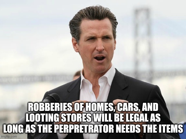gavin newsome | ROBBERIES OF HOMES, CARS, AND LOOTING STORES WILL BE LEGAL AS LONG AS THE PERPRETRATOR NEEDS THE ITEMS | image tagged in gavin newsome | made w/ Imgflip meme maker