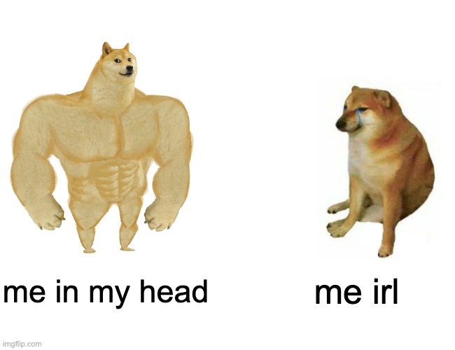 me | me in my head; me irl | image tagged in memes,buff doge vs cheems | made w/ Imgflip meme maker