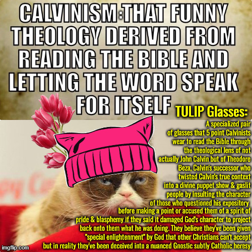 Take off your TULIP glasses | image tagged in calvinism,calvinist memes,anti calvinism,reformed theology,tulips,brainwashed | made w/ Imgflip meme maker