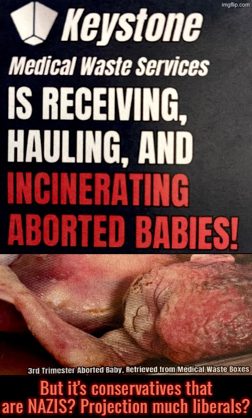 But We're The NAZIS? | But it's conservatives that are NAZIS? Projection much liberals? | image tagged in abortion is murder,babies,liberal logic,nazis,liberal hypocrisy,garbage dump | made w/ Imgflip meme maker