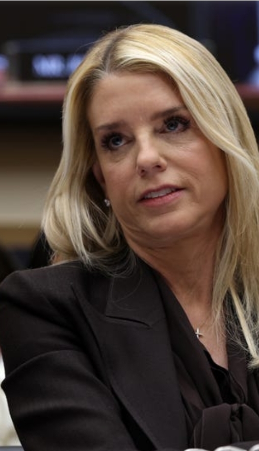 Pam Biondi Blank Meme Template