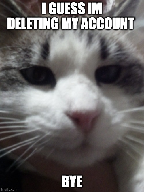 Sour Hart announcement template | I GUESS IM DELETING MY ACCOUNT; BYE | image tagged in sour hart announcement template | made w/ Imgflip meme maker