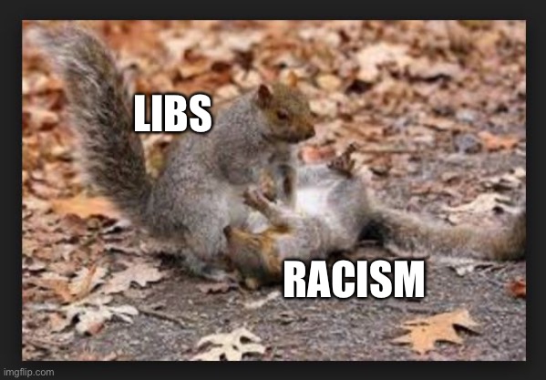 squirrel CPR | LIBS RACISM | image tagged in squirrel cpr | made w/ Imgflip meme maker