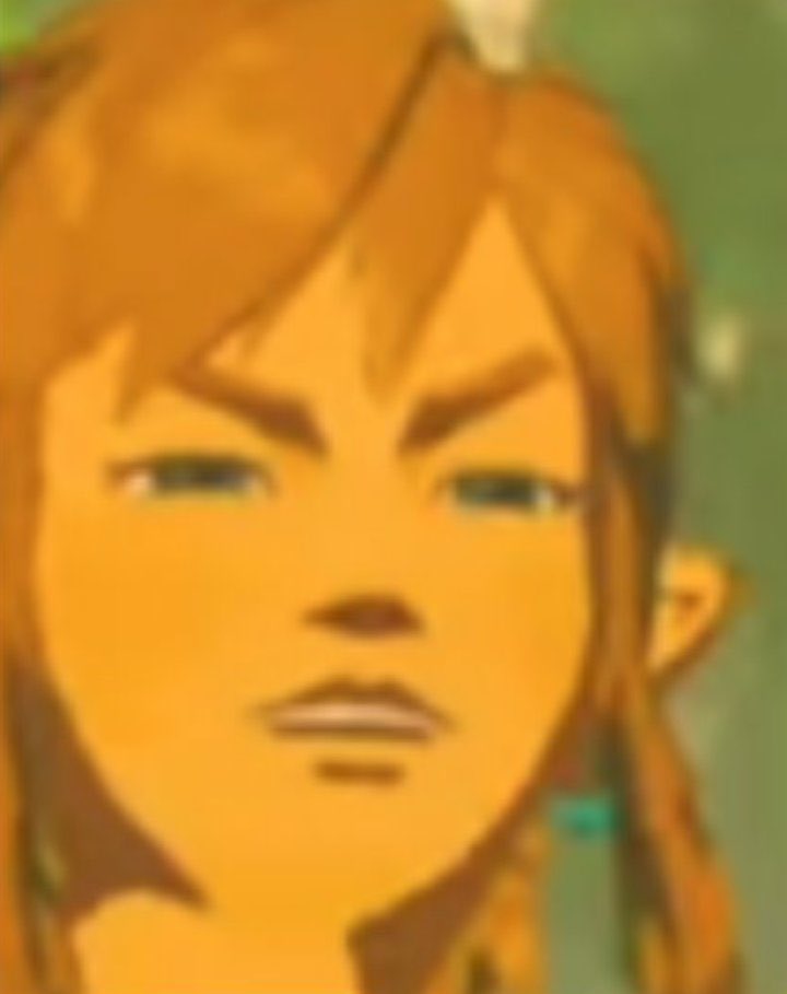 Link Squinting Blank Meme Template