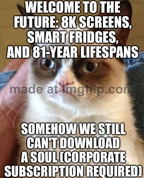 WELCOME TO THE SOULLESS FUTURE; NOW WITH 81-YEAR BATTERY LIFE AND ZERO MEANING | WELCOME TO THE FUTURE: 8K SCREENS, SMART FRIDGES, AND 81-YEAR LIFESPANS; SOMEHOW WE STILL CAN'T DOWNLOAD A SOUL (CORPORATE SUBSCRIPTION REQUIRED) | image tagged in memes,grumpy cat,soul,the future,dystopia,corporate greed | made w/ Imgflip meme maker