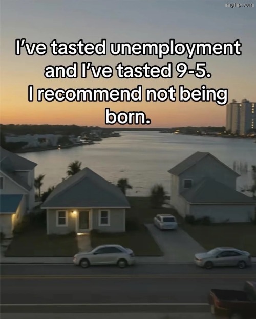 gn | made w/ Imgflip meme maker