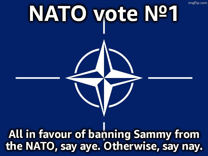 NATO flag | NATO vote №1; All in favour of banning Sammy from the NATO, say aye. Otherwise, say nay. | image tagged in nato flag | made w/ Imgflip meme maker