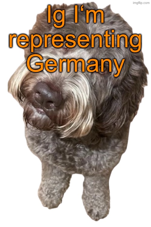 Northers Dog (Transparent) | Ig I‘m representing Germany | image tagged in northers dog transparent | made w/ Imgflip meme maker