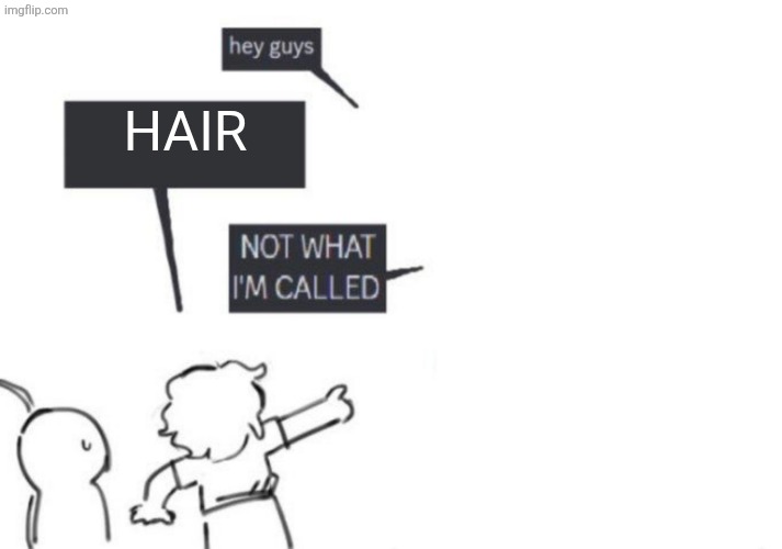 air is hair | HAIR | image tagged in hey guys - not what i'm called | made w/ Imgflip meme maker