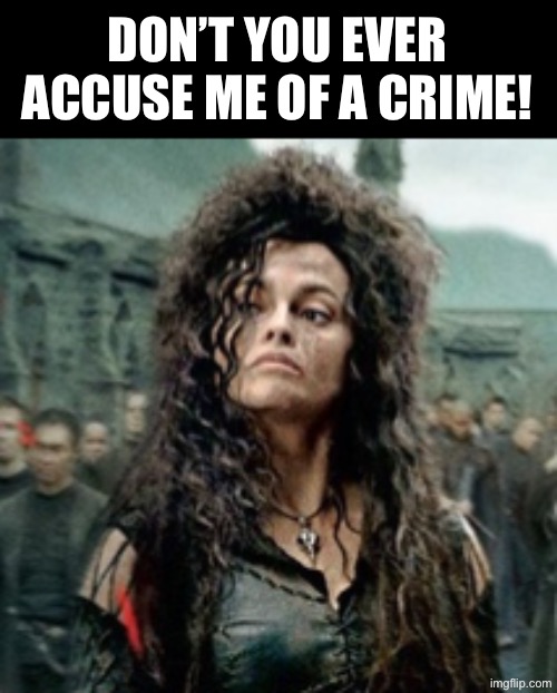 Pam Bondi in full glory | DON’T YOU EVER ACCUSE ME OF A CRIME! | made w/ Imgflip meme maker