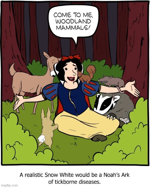image tagged in snow white,realistic,animals,disease,diseases,yikes | made w/ Imgflip meme maker