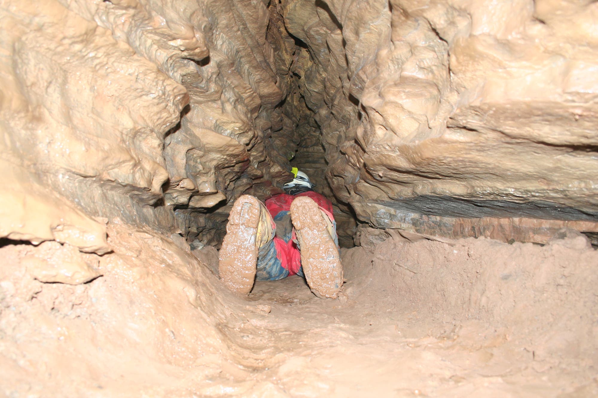 ass crawling Blank Meme Template