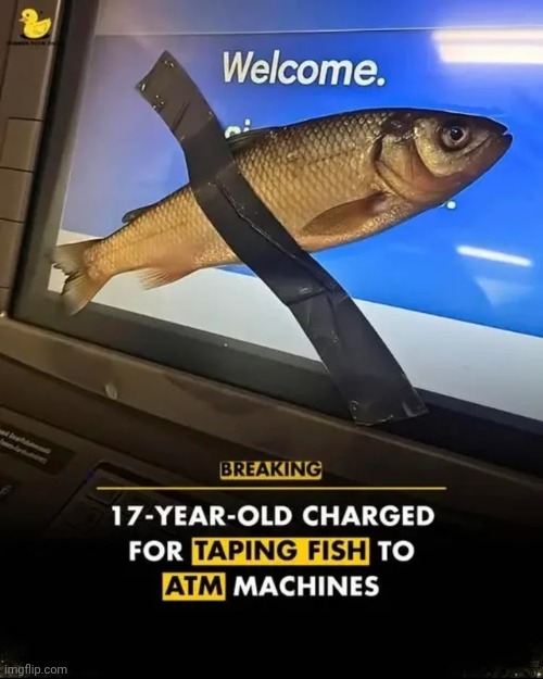 image tagged in memes | made w/ Imgflip meme maker