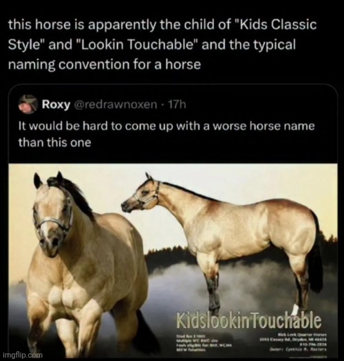 image tagged in memes | made w/ Imgflip meme maker