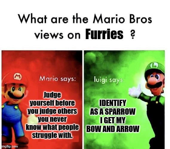 Mario Bros Views | Furries; Judge yourself before you judge others you never know what people struggle with. IDENTIFY AS A SPARROW I GET MY BOW AND ARROW | image tagged in mario bros views | made w/ Imgflip meme maker