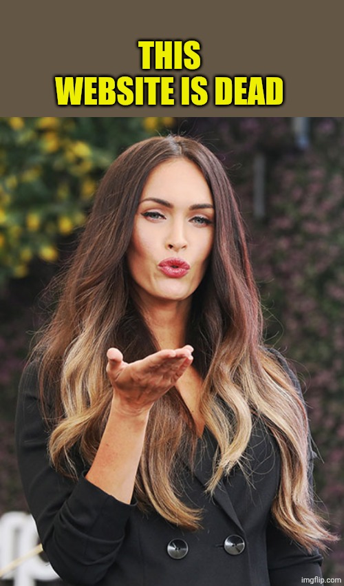 Megan Fox | THIS WEBSITE IS DEAD | image tagged in megan fox | made w/ Imgflip meme maker