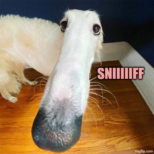 Let me do it for you... | SNIIIIIFF | image tagged in let me do it for you | made w/ Imgflip meme maker