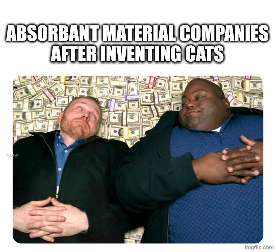 ... companies after inventing ... | ABSORBANT MATERIAL COMPANIES
AFTER INVENTING CATS | image tagged in companies after inventing | made w/ Imgflip meme maker