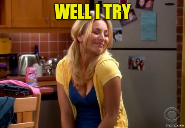 Penny Well I try | WELL I TRY | image tagged in penny well i try | made w/ Imgflip meme maker