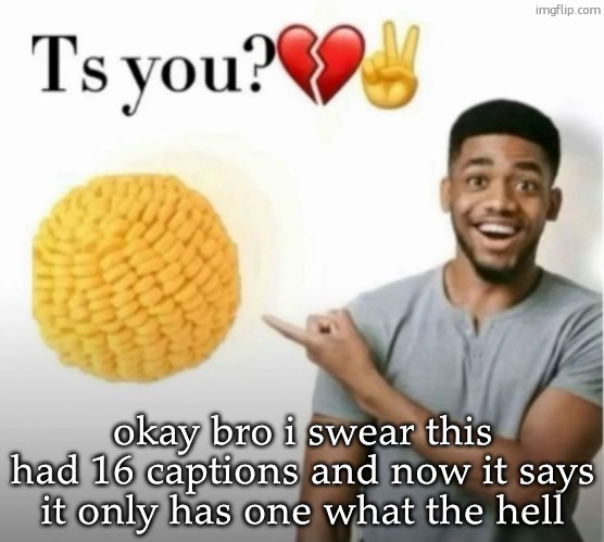 ts you? | okay bro i swear this had 16 captions and now it says it only has one what the hell | image tagged in ts you | made w/ Imgflip meme maker