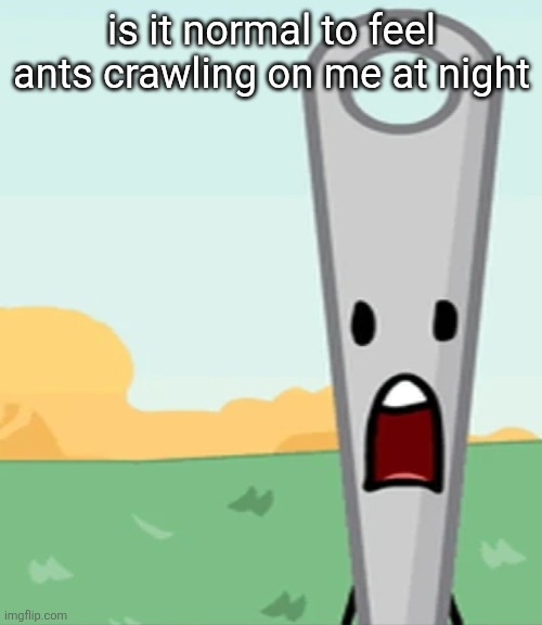 eg. X all the Y | is it normal to feel ants crawling on me at night | image tagged in eg x all the y | made w/ Imgflip meme maker