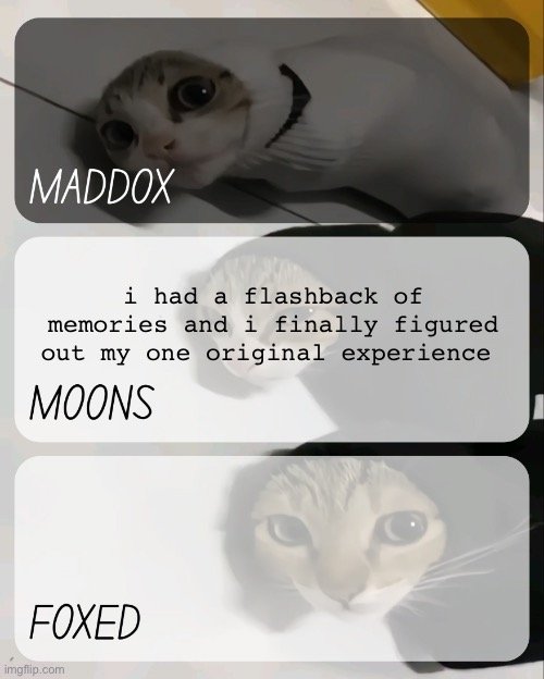 b4 i get flamed, lemme remind yall that i was ( and still am ) very messed up in the head as a child, i didnt have any friends | i had a flashback of memories and i finally figured out my one original experience | image tagged in maddox moons n foxed kitty temp | made w/ Imgflip meme maker