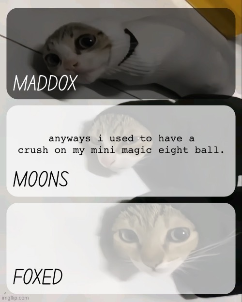 i think its cuz i was super lonely and it was the only thing that "listened" to me, i still have it lmfao | anyways i used to have a crush on my mini magic eight ball. | image tagged in maddox moons n foxed kitty temp | made w/ Imgflip meme maker