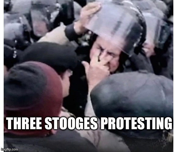 Stooge protest | THREE STOOGES PROTESTING | image tagged in memes | made w/ Imgflip meme maker