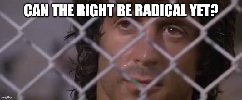 The right is domesticated | CAN THE RIGHT BE RADICAL YET? | image tagged in radical,right,alt right,rambo | made w/ Imgflip meme maker