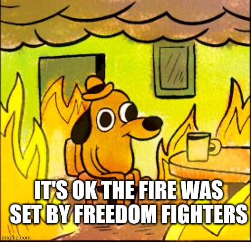 He who controls the language controls the normies | IT'S OK THE FIRE WAS SET BY FREEDOM FIGHTERS | image tagged in this is fine,language,brainwashed,normies | made w/ Imgflip meme maker