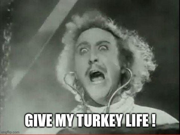 Young Frankenstein | GIVE MY TURKEY LIFE ! | image tagged in young frankenstein | made w/ Imgflip meme maker