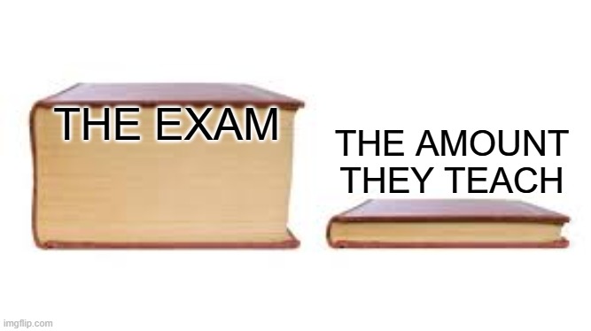 Big book small book | THE AMOUNT THEY TEACH; THE EXAM | image tagged in big book small book | made w/ Imgflip meme maker
