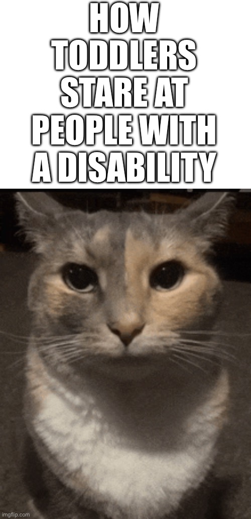 How toddlers stare at plp with a disability | HOW TODDLERS STARE AT PEOPLE WITH A DISABILITY | image tagged in cat dead stare,relatable,memes,funny,funny memes,viral | made w/ Imgflip meme maker