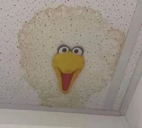 Chrisjoines1 Blank Meme Template