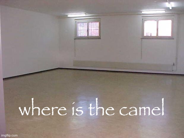 Empty Room | where is the camel | image tagged in empty room | made w/ Imgflip meme maker