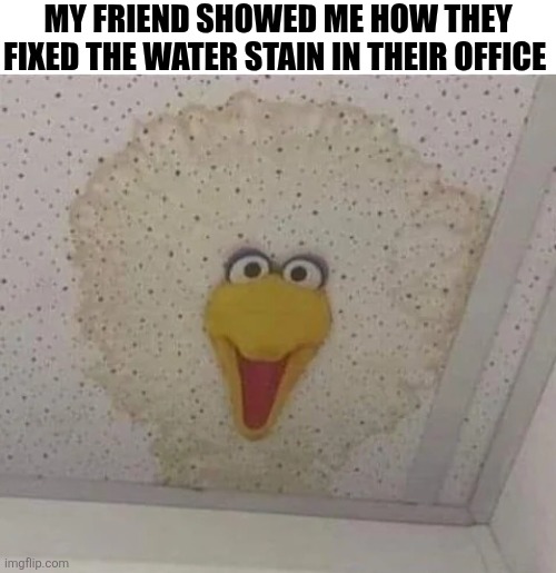 My Friend Showed Me How They Fixed The Water Stain | MY FRIEND SHOWED ME HOW THEY FIXED THE WATER STAIN IN THEIR OFFICE | image tagged in chrisjoines1 | made w/ Imgflip meme maker