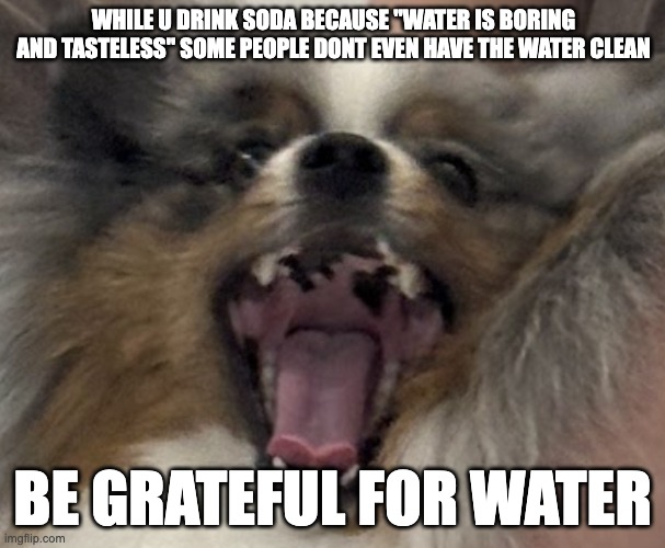 WHILE U DRINK SODA BECAUSE "WATER IS BORING AND TASTELESS" SOME PEOPLE DONT EVEN HAVE THE WATER CLEAN; BE GRATEFUL FOR WATER | made w/ Imgflip meme maker