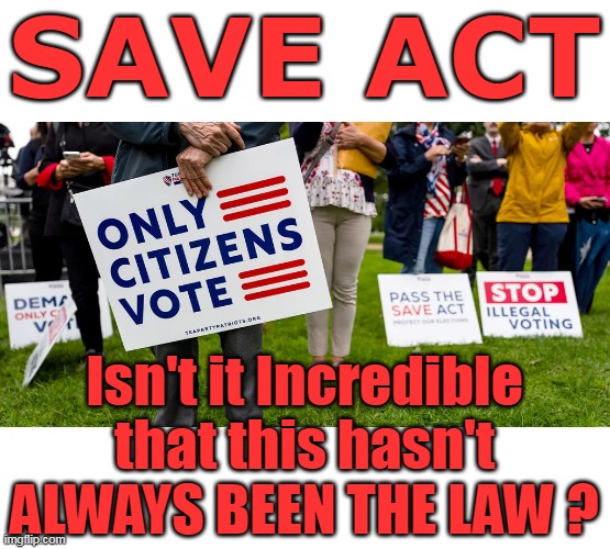 Seems like such a no Brainer | SAVE ACT; Isn't it Incredible that this hasn't ALWAYS BEEN THE LAW ? | image tagged in save act meme | made w/ Imgflip meme maker