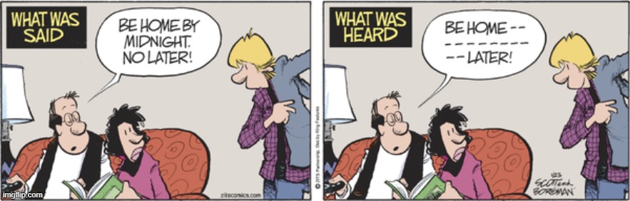 Zits | image tagged in comics | made w/ Imgflip meme maker