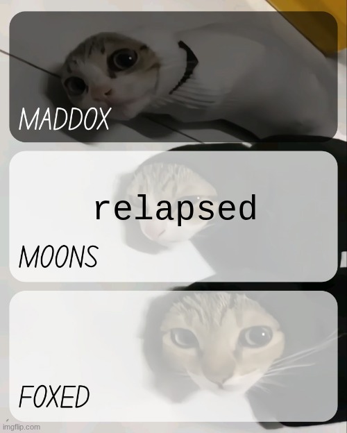 can we get some words of truth yo | relapsed | image tagged in maddox moons n foxed kitty temp | made w/ Imgflip meme maker