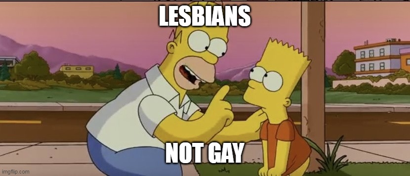 Lesbians Bart Not Gay | LESBIANS; NOT GAY | image tagged in homer so far | made w/ Imgflip meme maker