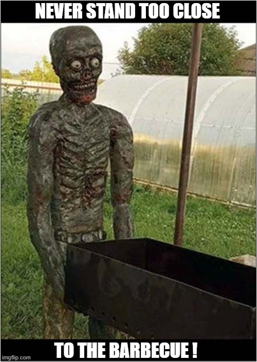 Useful Advice - But Too Late ! | NEVER STAND TOO CLOSE; TO THE BARBECUE ! | image tagged in advice,barbecue,severe burns | made w/ Imgflip meme maker