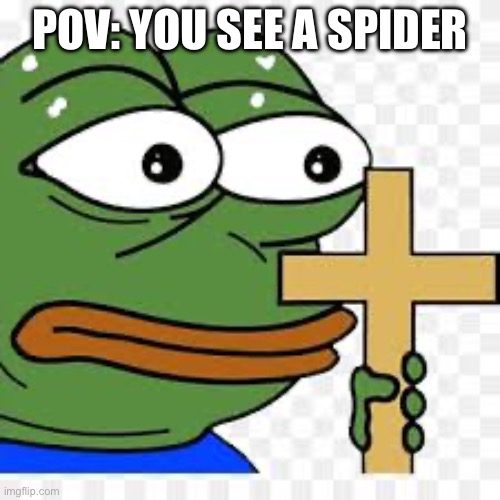 Spider | POV: YOU SEE A SPIDER | image tagged in spider,pepe the frog,fear | made w/ Imgflip meme maker