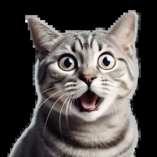 Cat Transparent Blank Meme Template