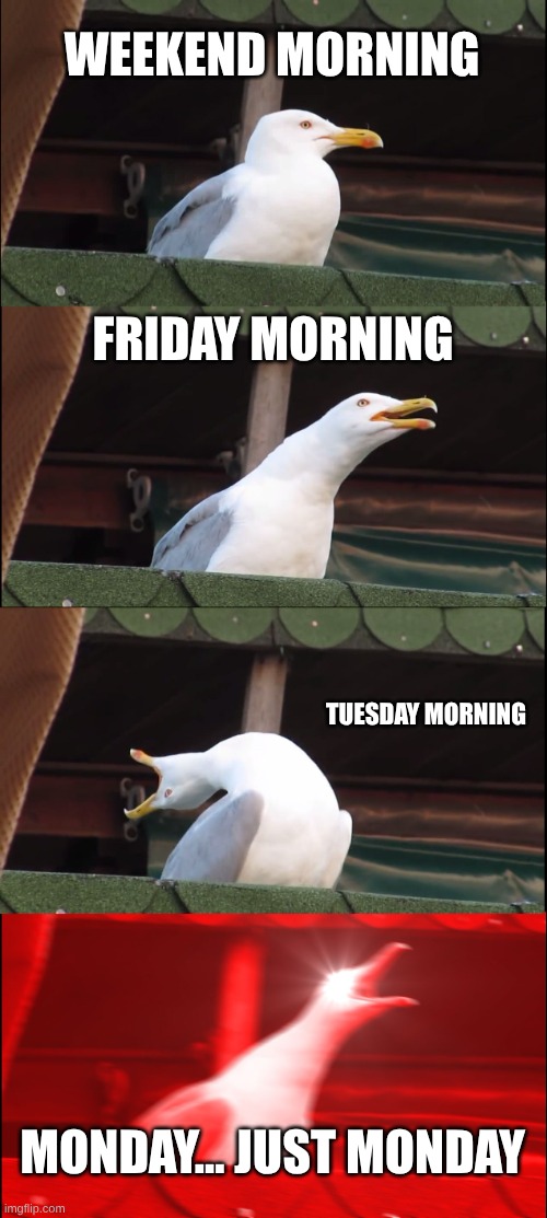 Accuracy | WEEKEND MORNING; FRIDAY MORNING; TUESDAY MORNING; MONDAY... JUST MONDAY | image tagged in memes,inhaling seagull | made w/ Imgflip meme maker