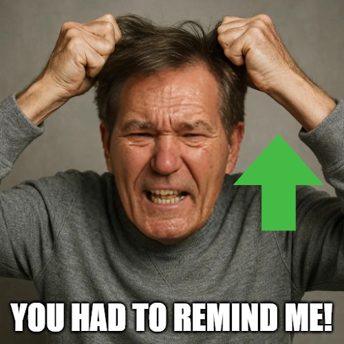 WHY! | YOU HAD TO REMIND ME! | image tagged in why | made w/ Imgflip meme maker